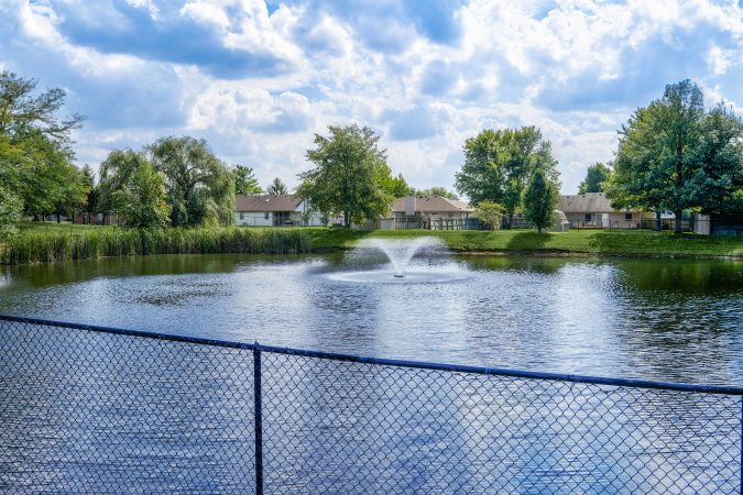 Pond with a fountain