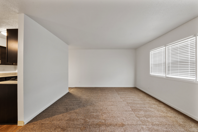 Living room with vinyl floor and white walls