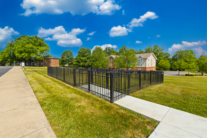 Dog park with black fence around it